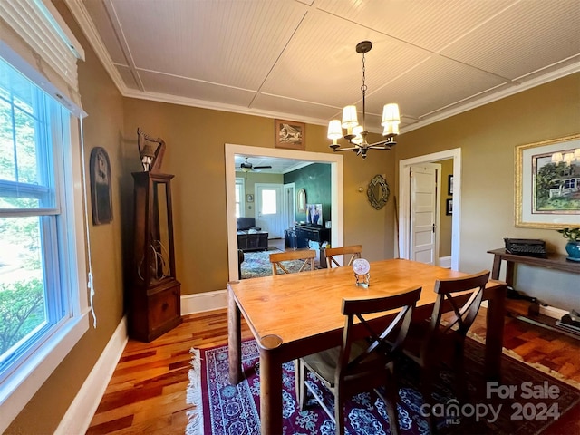 dining room featuring ceiling fan with notable chandelier, a wealth of natural light, and wood-type flooring