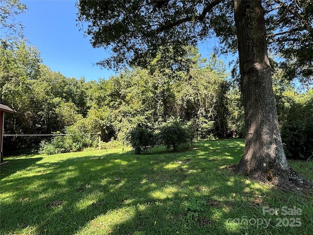 view of yard featuring a forest view