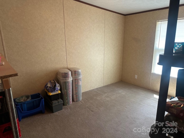 misc room with ornamental molding, a wealth of natural light, and carpet