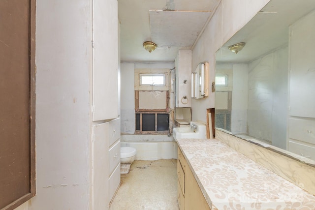 bathroom with a bathing tub, toilet, and vanity