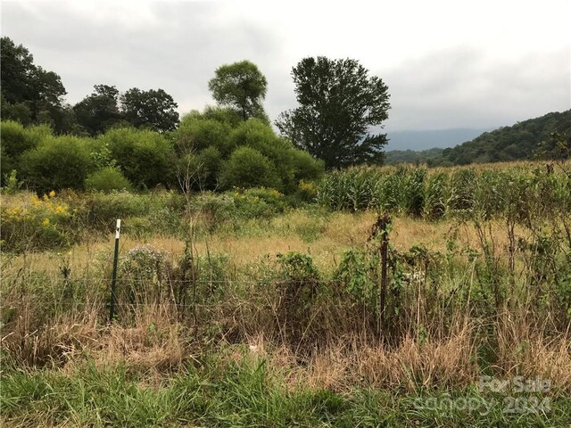 0000 Hyatt Creek Rd, Waynesville, NC 28786 - photo 8