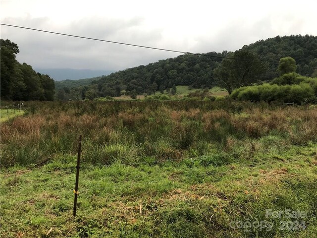 0000 Hyatt Creek Rd, Waynesville, NC 28786 - photo 11