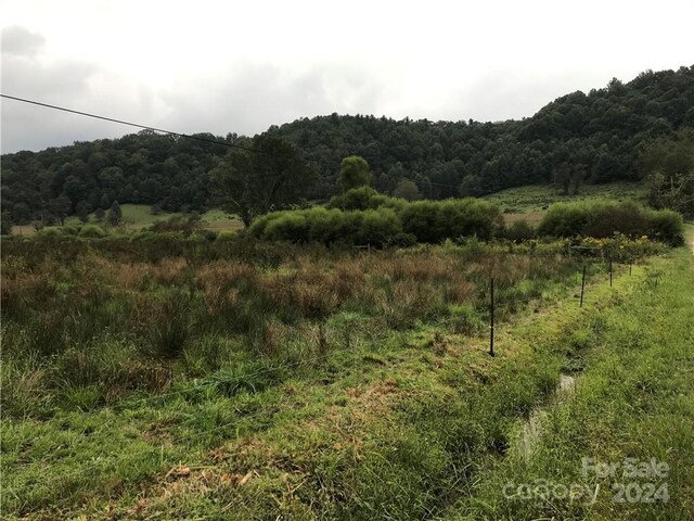 0000 Hyatt Creek Rd, Waynesville, NC 28786 - photo 12
