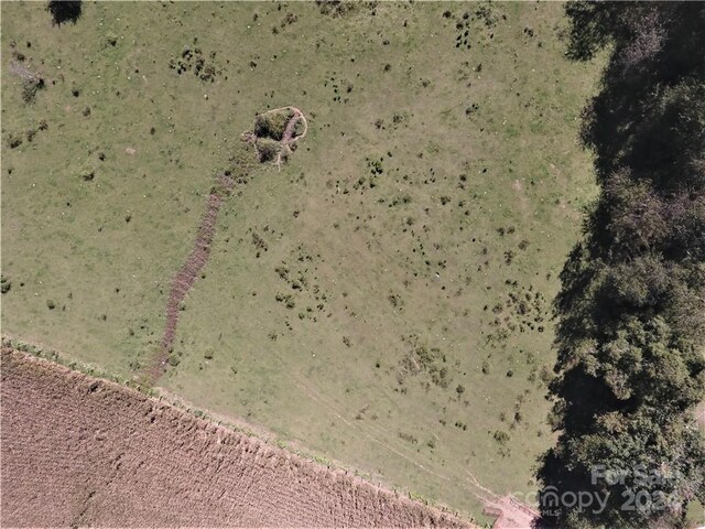 0000 Hyatt Creek Rd, Waynesville, NC 28786 - photo 17