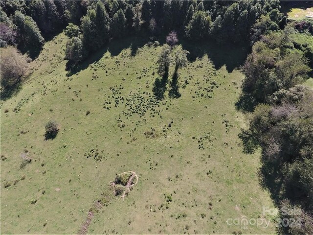 0000 Hyatt Creek Rd, Waynesville, NC 28786 - photo 18