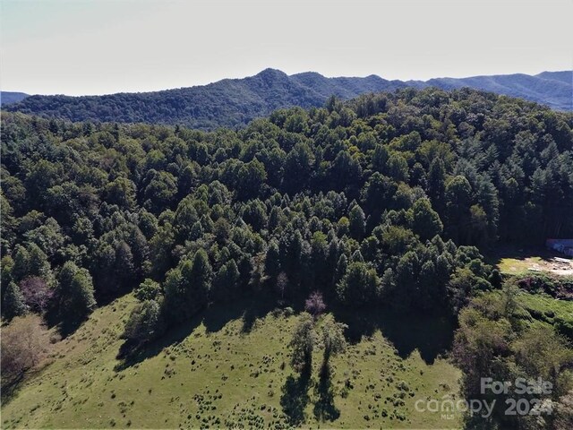 0000 Hyatt Creek Rd, Waynesville, NC 28786 - photo 19