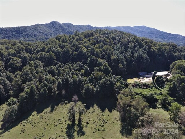 0000 Hyatt Creek Rd, Waynesville, NC 28786 - photo 20