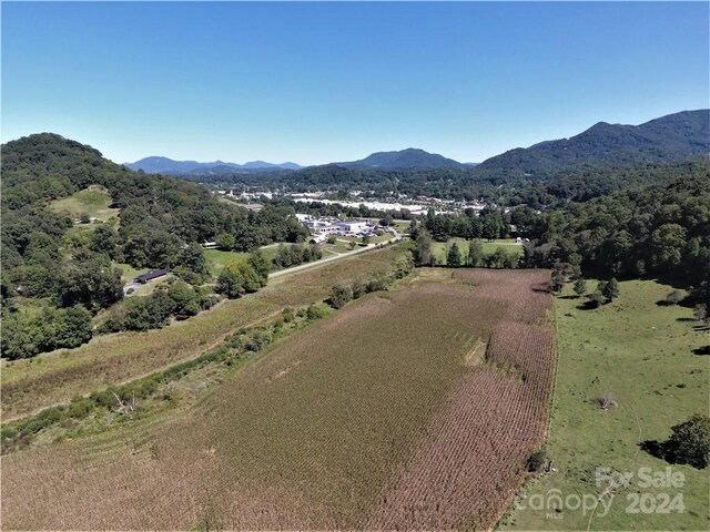 0000 Hyatt Creek Rd, Waynesville, NC 28786 - photo 21