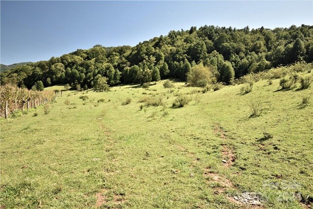 0000 Hyatt Creek Rd, Waynesville, NC 28786 - photo 23