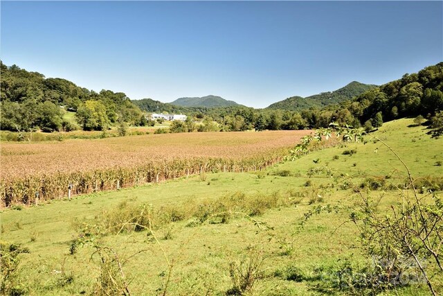 0000 Hyatt Creek Rd, Waynesville, NC 28786 - photo 24