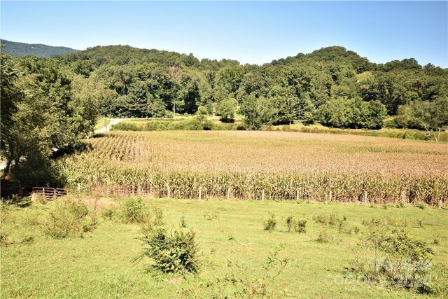 0000 Hyatt Creek Rd, Waynesville, NC 28786 - photo 25