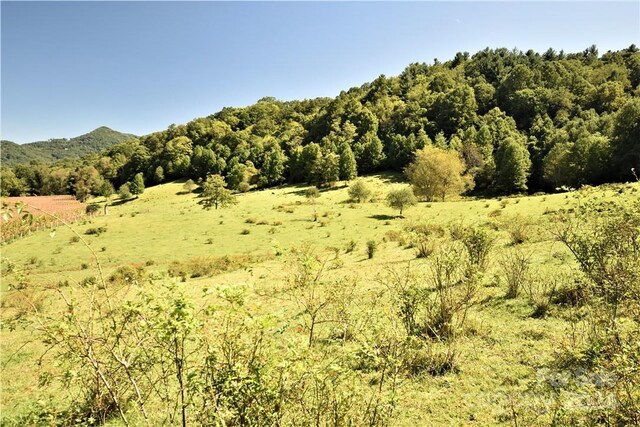 0000 Hyatt Creek Rd, Waynesville, NC 28786 - photo 26