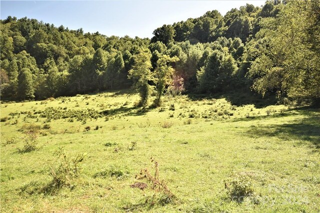 0000 Hyatt Creek Rd, Waynesville, NC 28786 - photo 27