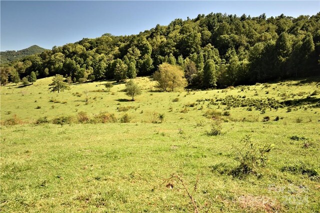 0000 Hyatt Creek Rd, Waynesville, NC 28786 - photo 28