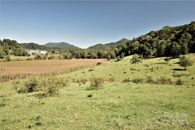 0000 Hyatt Creek Rd, Waynesville, NC 28786 - photo 29