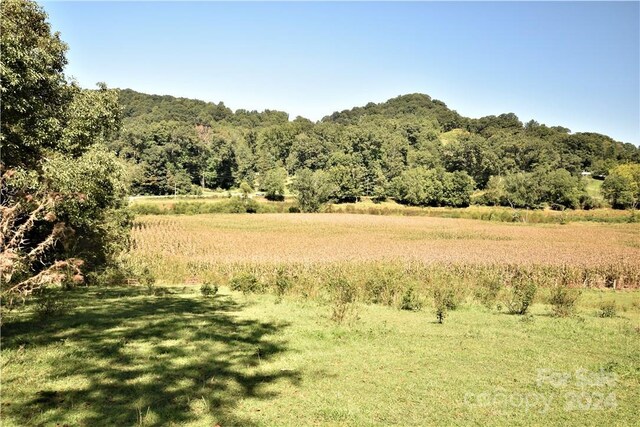 0000 Hyatt Creek Rd, Waynesville, NC 28786 - photo 30