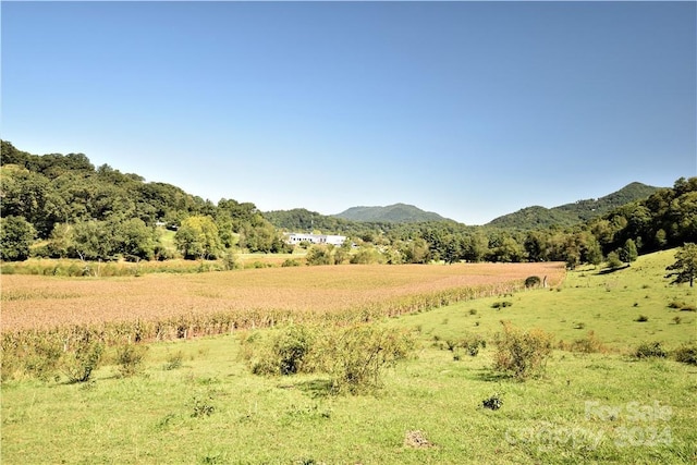 0000 Hyatt Creek Rd, Waynesville, NC 28786 - photo 31