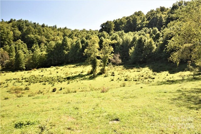 0000 Hyatt Creek Rd, Waynesville, NC 28786 - photo 32