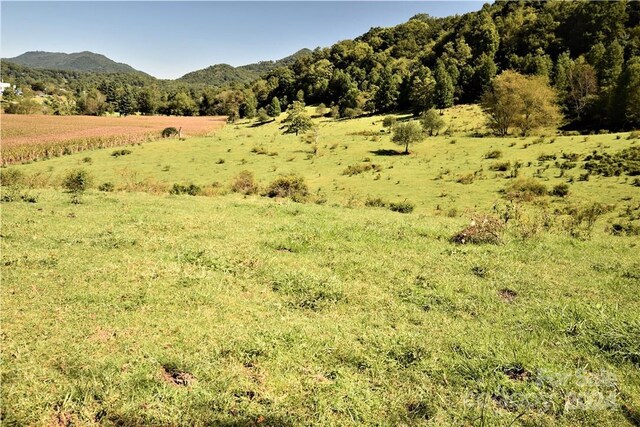 0000 Hyatt Creek Rd, Waynesville, NC 28786 - photo 33