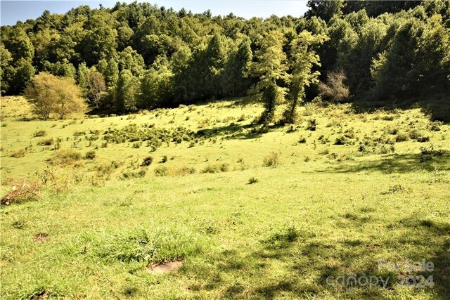 0000 Hyatt Creek Rd, Waynesville, NC 28786 - photo 34