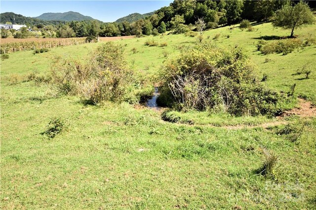 0000 Hyatt Creek Rd, Waynesville, NC 28786 - photo 35