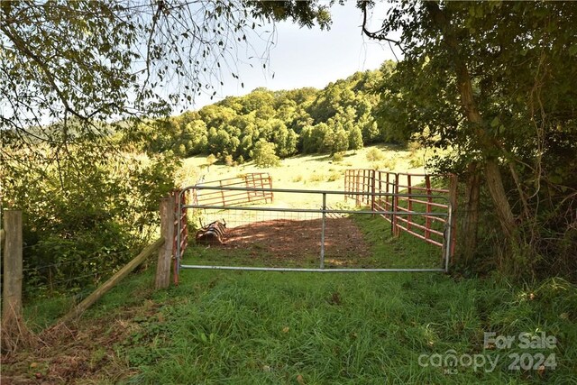 0000 Hyatt Creek Rd, Waynesville, NC 28786 - photo 36