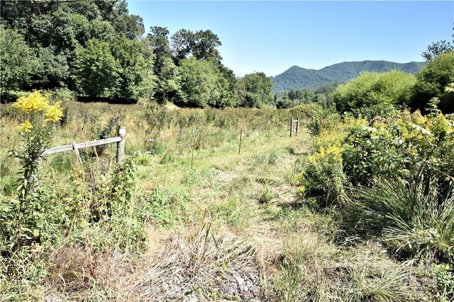 0000 Hyatt Creek Rd, Waynesville, NC 28786 - photo 39