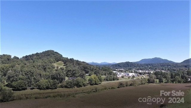 0000 Hyatt Creek Rd, Waynesville, NC 28786 - photo 43
