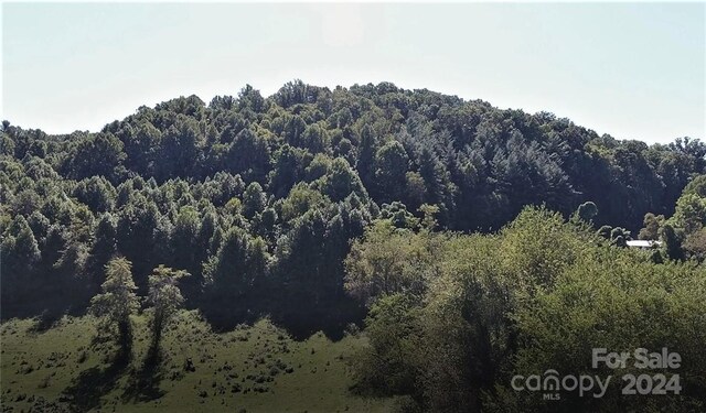 0000 Hyatt Creek Rd, Waynesville, NC 28786 - photo 44
