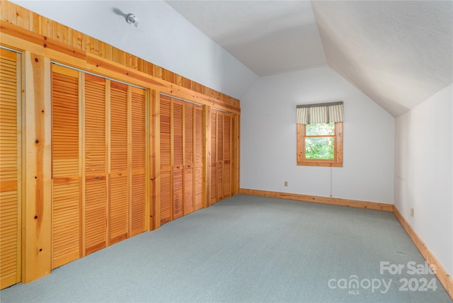 additional living space with vaulted ceiling and carpet floors