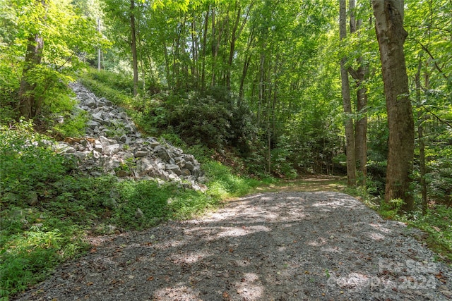 view of local wilderness