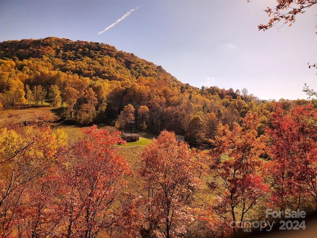 view of mountain feature