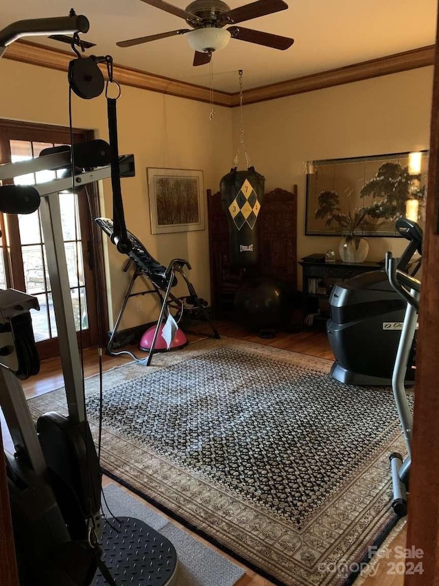 workout room with ceiling fan, hardwood / wood-style flooring, and crown molding