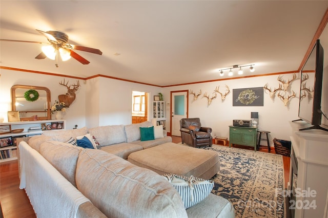 living room with hardwood / wood-style floors, ceiling fan, and ornamental molding