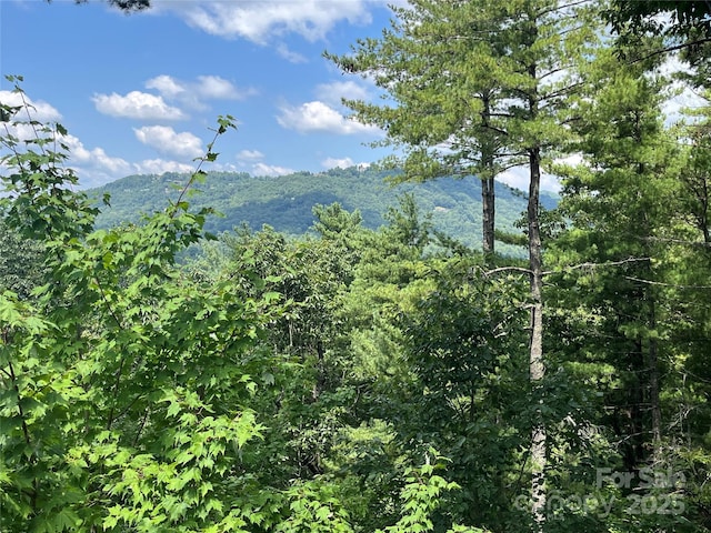 view of mountain feature with a forest view