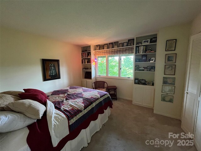 2902 Timber Trl, Asheville, NC 28804 - photo 16