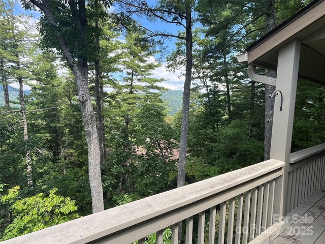 2902 Timber Trl, Asheville, NC 28804 - photo 18