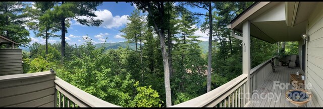 2902 Timber Trl, Asheville, NC 28804 - photo 19