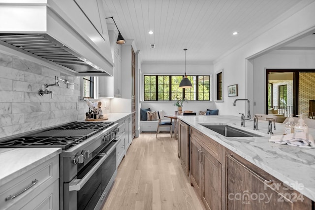 kitchen featuring tasteful backsplash, light hardwood / wood-style flooring, high end stainless steel range oven, and a healthy amount of sunlight