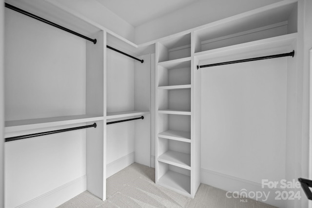 spacious closet featuring light carpet