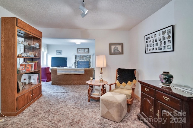 living area with a textured ceiling, carpet floors, and track lighting