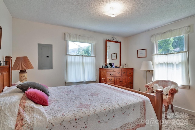 bedroom featuring a textured ceiling, multiple windows, and electric panel