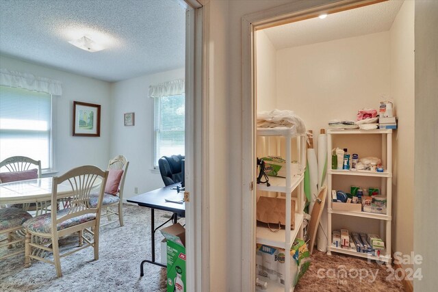 office area with plenty of natural light, a textured ceiling, and carpet flooring