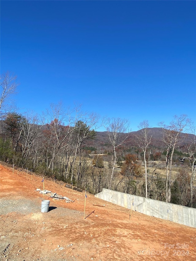 view of yard with a mountain view