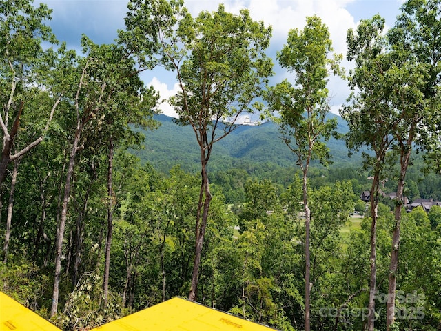 2015 Deep Gap Farm Rd W, Mill Spring, NC 28756 - mountain view with a forest
