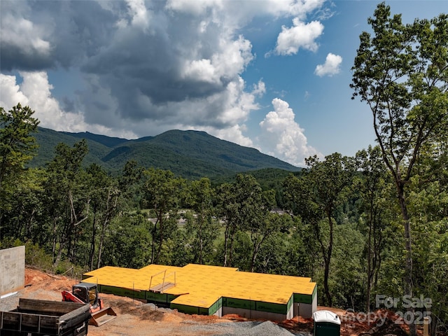 2015 Deep Gap Farm Rd W, Mill Spring, NC 28756 - mountain view featuring a heavily wooded area