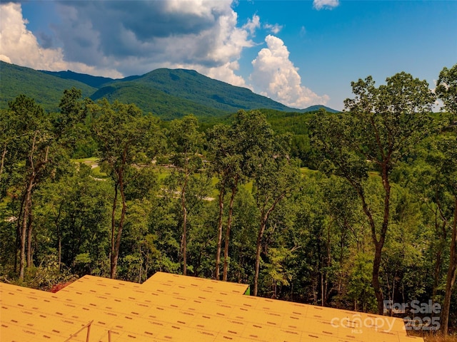 2015 Deep Gap Farm Rd W, Mill Spring, NC 28756 - mountain view featuring a forest