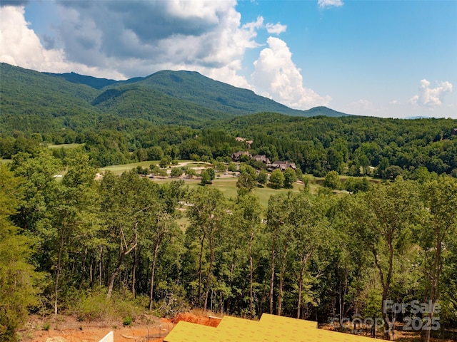 2015 Deep Gap Farm Rd W, Mill Spring, NC 28756 - mountain view with a forest