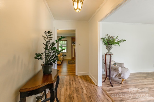 interior space with a notable chandelier, light hardwood / wood-style floors, and ornamental molding