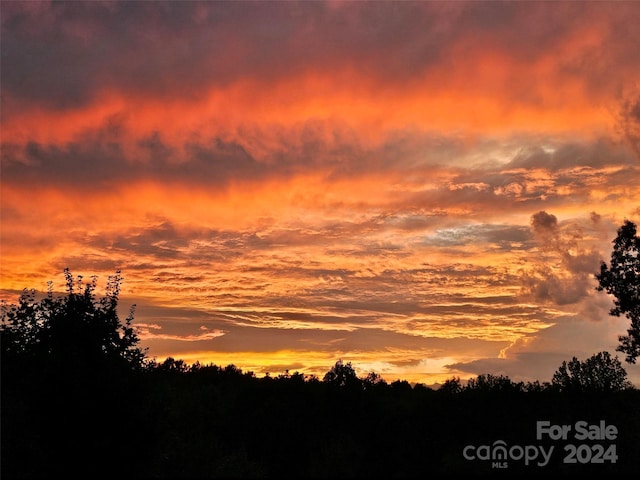 view of nature at dusk